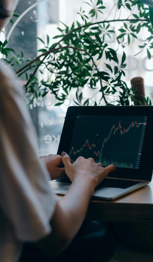 An individual analyzing stock market trends on a laptop in a cozy indoor setting with plants.
