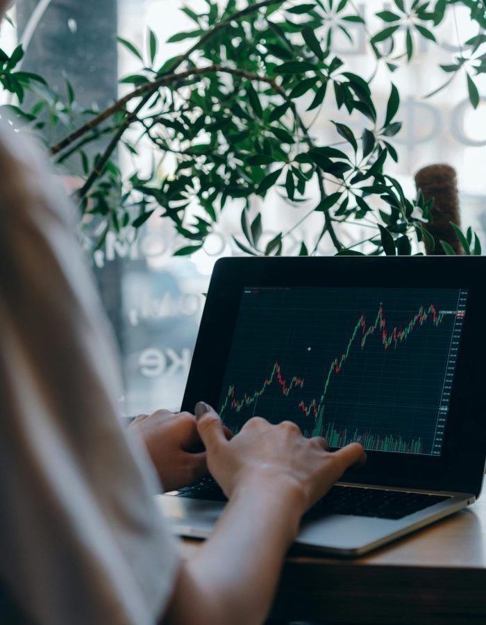 An individual analyzing stock market trends on a laptop in a cozy indoor setting with plants.